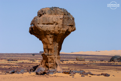 ALG_Rhehro_001