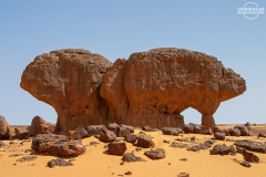 ALG_Rhehro_002