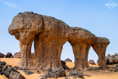 ALG_Rhehro_003