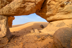 ALG_Rhehro_004