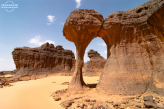 ALG_Rhehro_007