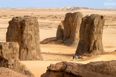 ALG_Rhehro_008