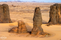 ALG_Rhehro_009