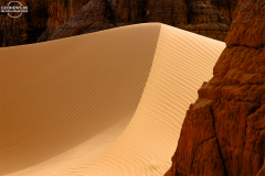 ALG_Rhehro_010