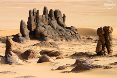 ALG_Rhehro_014