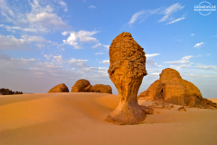 ALG_Rhehro_015