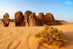 ALG_Rhehro_016