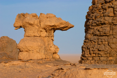ALG_Rhehro_017