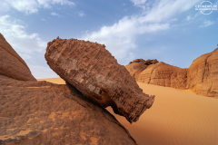 ALG_Rhehro_020
