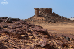 ALG_Rhehro_022
