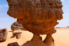 ALG_Rhehro_023
