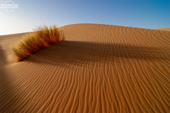 ALG_Akasheker_022