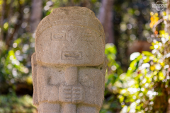 KOL_Augustin_017