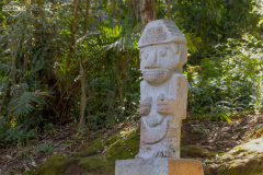 KOL_Augustin_020
