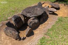 KOL_Augustin_029