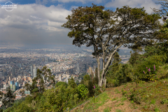 KOL_Bogota_004