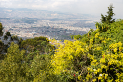 KOL_Bogota_005