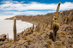 BOL_Uyuni_006