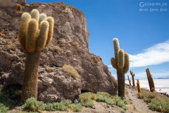 BOL_Uyuni_007