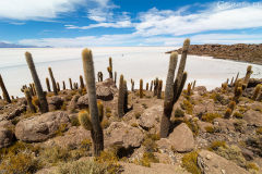 BOL_Uyuni_010