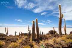 BOL_Uyuni_009
