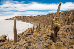 BOL_Uyuni_011