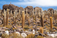 BOL_Uyuni_012