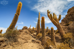 BOL_Uyuni_013