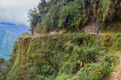 BOL_Camino_005