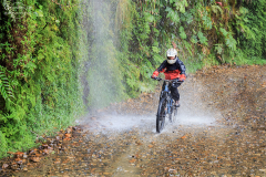 BOL_Camino_008