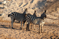 BOT_Makagadikgadi_002
