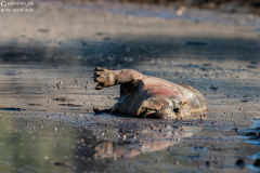 BOT_Makagadikgadi_003