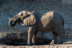 BOT_Makagadikgadi_004