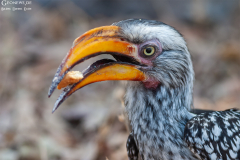 BOT_Makagadikgadi_007