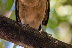 KOL_Cartagena_029