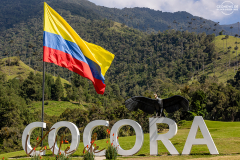 KOL_Cocora_001