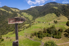 KOL_Cocora_002