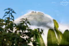 CR_Arenal_002