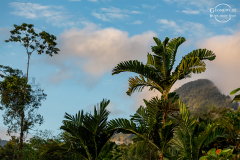 CR_Arenal_005