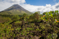CR_Arenal_007