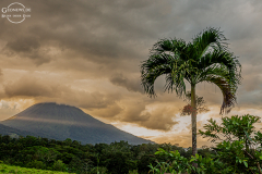 CR_Arenal_008
