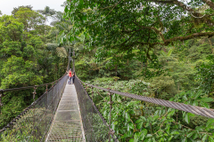 CR_Arenal_012