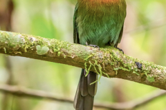 CR_Arenal_013
