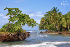 CR_Cahuita_001