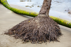 CR_Cahuita_003