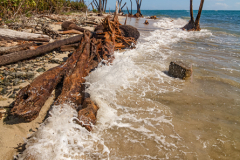 CR_Cahuita_016