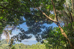 CR_Manuel-Antonio_008