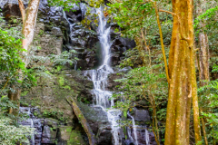 CR_Rincon_006