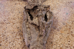 KOL_Ecco_Museum_005