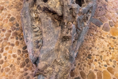 KOL_Ecco_Museum_006